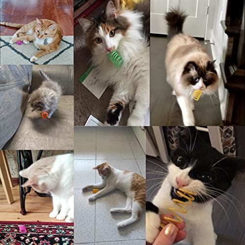 12-Pcs-Cat-Colorful-Springs-Toys-Petnice-Cat-Creative-Toys-for-Kittens-BPA-Free-Durable-Heavy-Plastic-Interactive-Toys-to-Kill-Time-and-Keep-Fit-for-Swatting-Biting-Hunting-Kitten-Toys