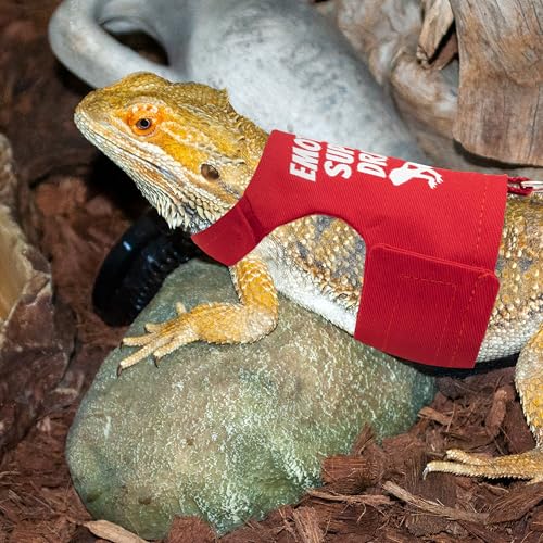 Image of Bearded Dragon Harness and Leash Set - Escape Proof Adjustable Lizard Reptiles Harness with 5 ft Short Leash for Walking Outdoor