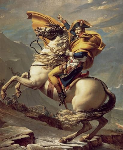 Peinture sur Toile Napoléon David 60x90cm Solution Murs Vides Déco Chambre Coucher