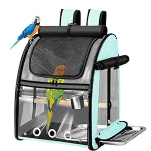 SUERTREE Bird Carrier Bag with Indestructible Stainless Steel Mesh, Bird Travel Cage with Stand, Easy to Clean Backpack for Parrot, Portable Bird Travel Bag, Green