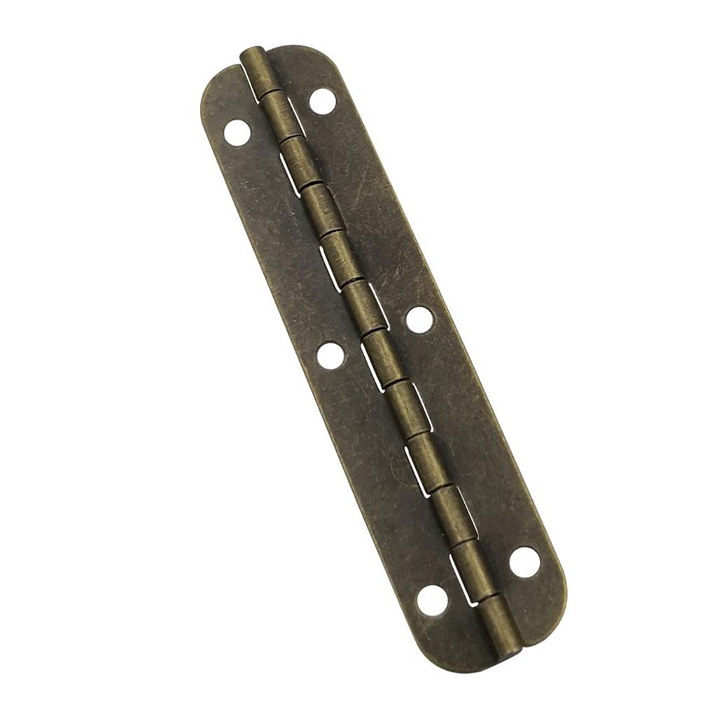 Nvsfzgiyg Green Patina 10Pcs Long Metal Antique Door Hinges For Wooden Gift Case Decorate Cabinet Drawer Jewellery Box Furniture Hardware(Green Patina)