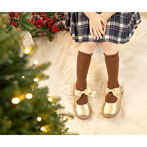 Image of Felix & Flora Toddler Little Girl Mary Jane Dress Shoes - Ballet Flats for Girl Party School Shoes