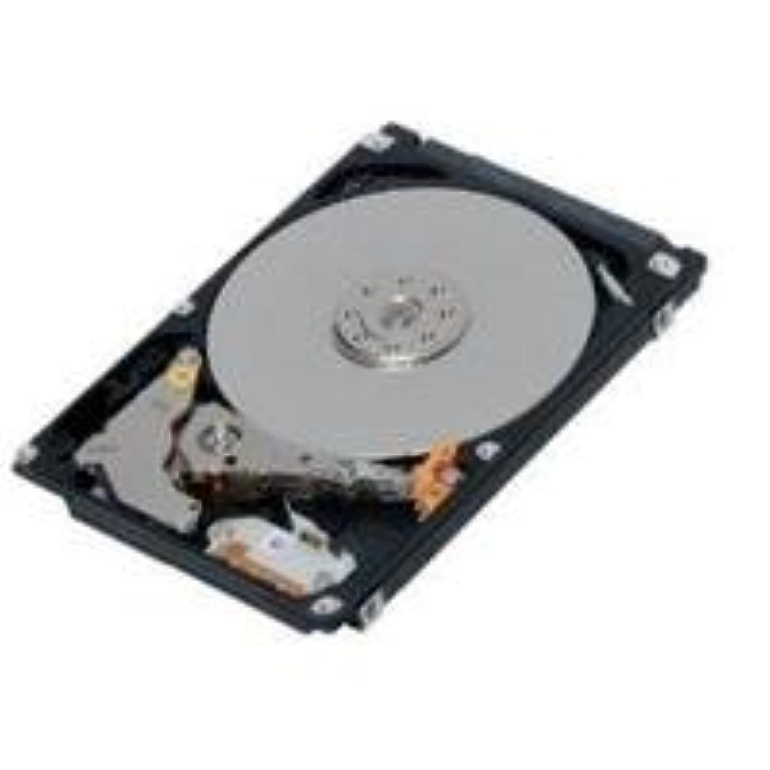 Hard Disk Interno Laptop 320GB 2.5'' SATA – 5400 RPM, 8MB Cache, Compatibile Con PC Portatili E PS3