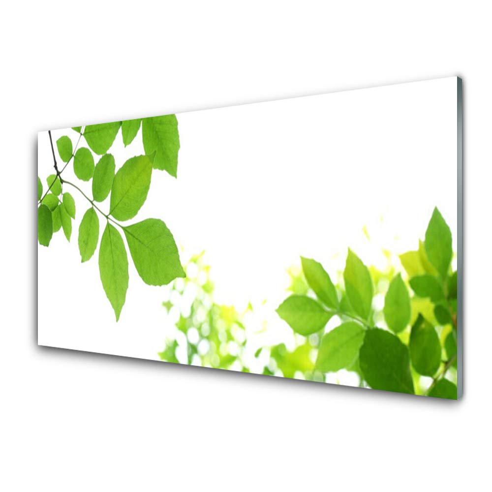 Tableau mural moderne Tulup floral 100x50cm en plastique imprimé anti-reflet