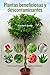Plantas Beneficiosas Y Descontaminantes: Para la Salud y el Medio Ambiente (SALUD Y VIDA NATURAL)