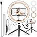 PEYOU Anillo de Luz LED, 10” Aro de Luz con Trípode, 3 Colores y 10 Brillos Regulables, Control Remoto, Soporte de Móvil, para Móvil y Cámara, Maquillaje, Selfie Vídeo, Youtube, TIK Tok
