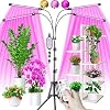 Lampe de Plante, Lampe de Croi...