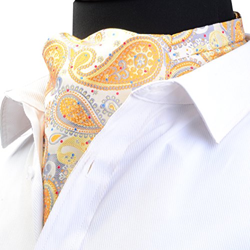 Image of MIPPO Men's Ascot Paisley Floral Jacquard Woven Gift Cravat Tie