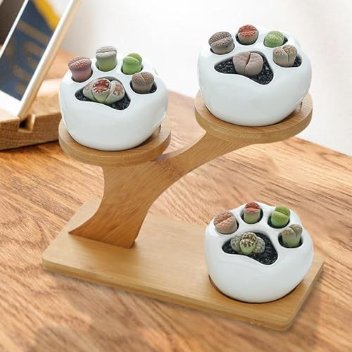 Cache-pots pour succulentes en céramique au design épuré avec support rigide - 7