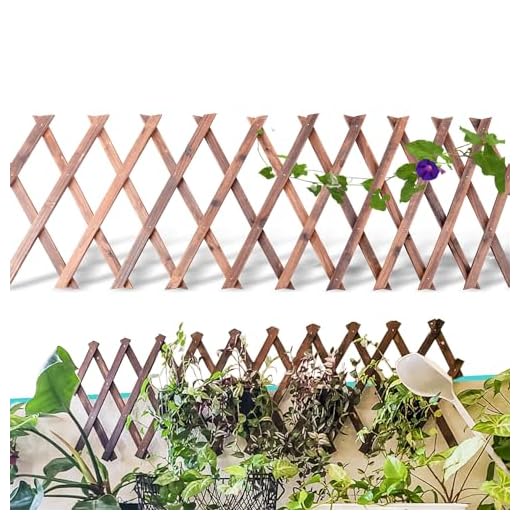 21 Creative Patio Privacy Ideas for Your Outdoor Space 6 Wooden Lattice Panels for Outside 1Pack, 75"x11.8" Expandable Wood Lattice Fence Wall Garden Trellis Frame for Climbing Plants Outdoor Vine Ivy Rose Patio Room Decorative