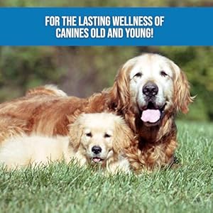 REMEDY – Hemp Salve Dog Wart Remover – Painless Dog Skin Tag Remover Balm – Dog Health Supplies for Comfort & Healthy Cell Growth for Dogs with Difficult Conditions