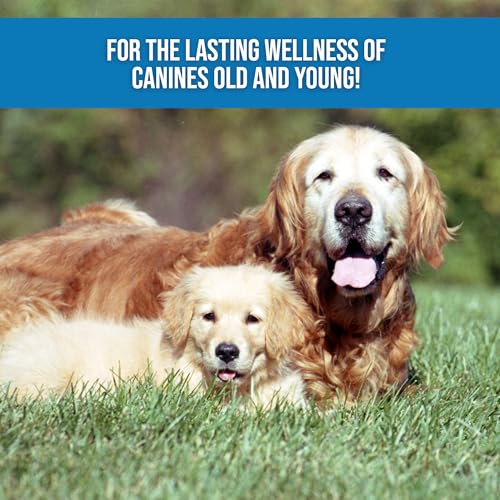 REMEDY – Hemp Salve Dog Wart Remover – Painless Dog Skin Tag Remover Balm – Dog Health Supplies for Comfort & Healthy Cell Growth for Dogs with Difficult Conditions REMEDY – Hemp Salve Dog Wart Remover – Painless Dog Skin Tag Remover Balm – Dog Health Supplies for Comfort & Healthy Cell Growth for Dogs with Difficult Conditions