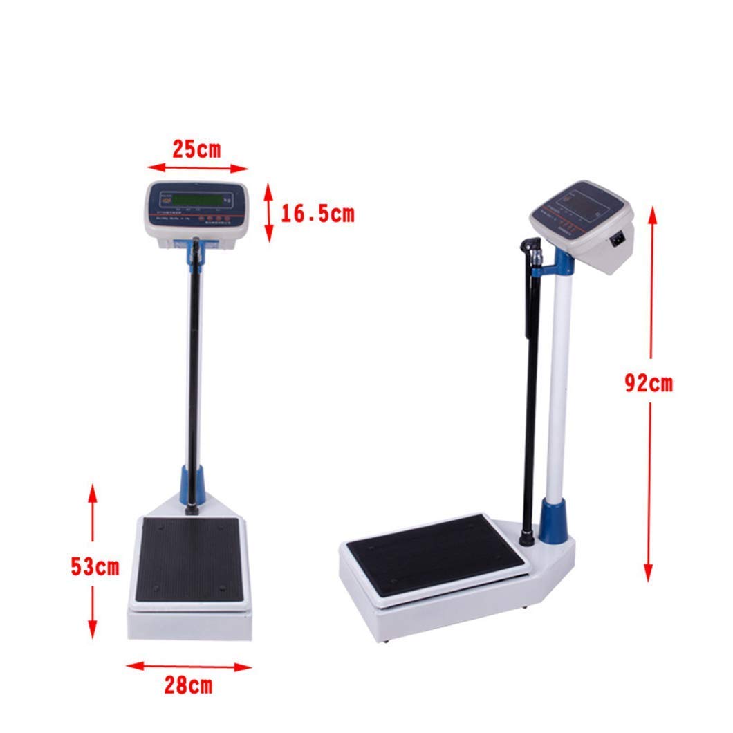 Báscula electrónica con Pantalla Digital Inteligente, báscula de Altura y Peso, con Pantalla LED, fácil de operar, Adecuada para Todas Las Edades