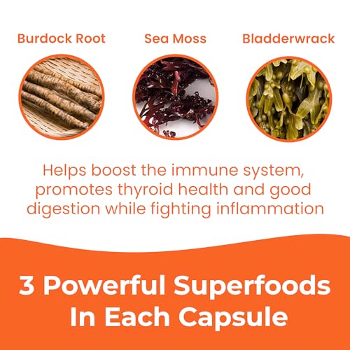 INFINITE AGE 1250mg Sea Moss Advanced Superfood Capsules, 60 Count - High-Potency, Vegan, Made in The USA - Irish Seamoss, Bladderwrack, Burdock Root - Overall Health, Immunity Support - Image 7