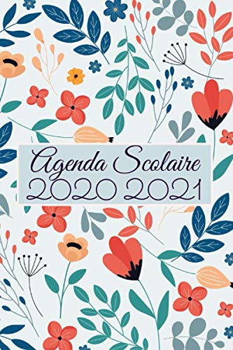 Télécharger Agenda Scolaire 2020 2021: Agenda Scolaire 2020 2021 college lycée pour garcon et fille | Septembre Gratuit