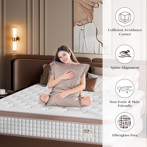 FP FLEXPEDIC Mattress Queen Size 12 Inch - Premium Hybrid Bed in a Box for Couples & Light Sleepers, 366-Night Trial, Pocket Spring Mattress for Back & Lumbar Support, CertiPUR-US Certified