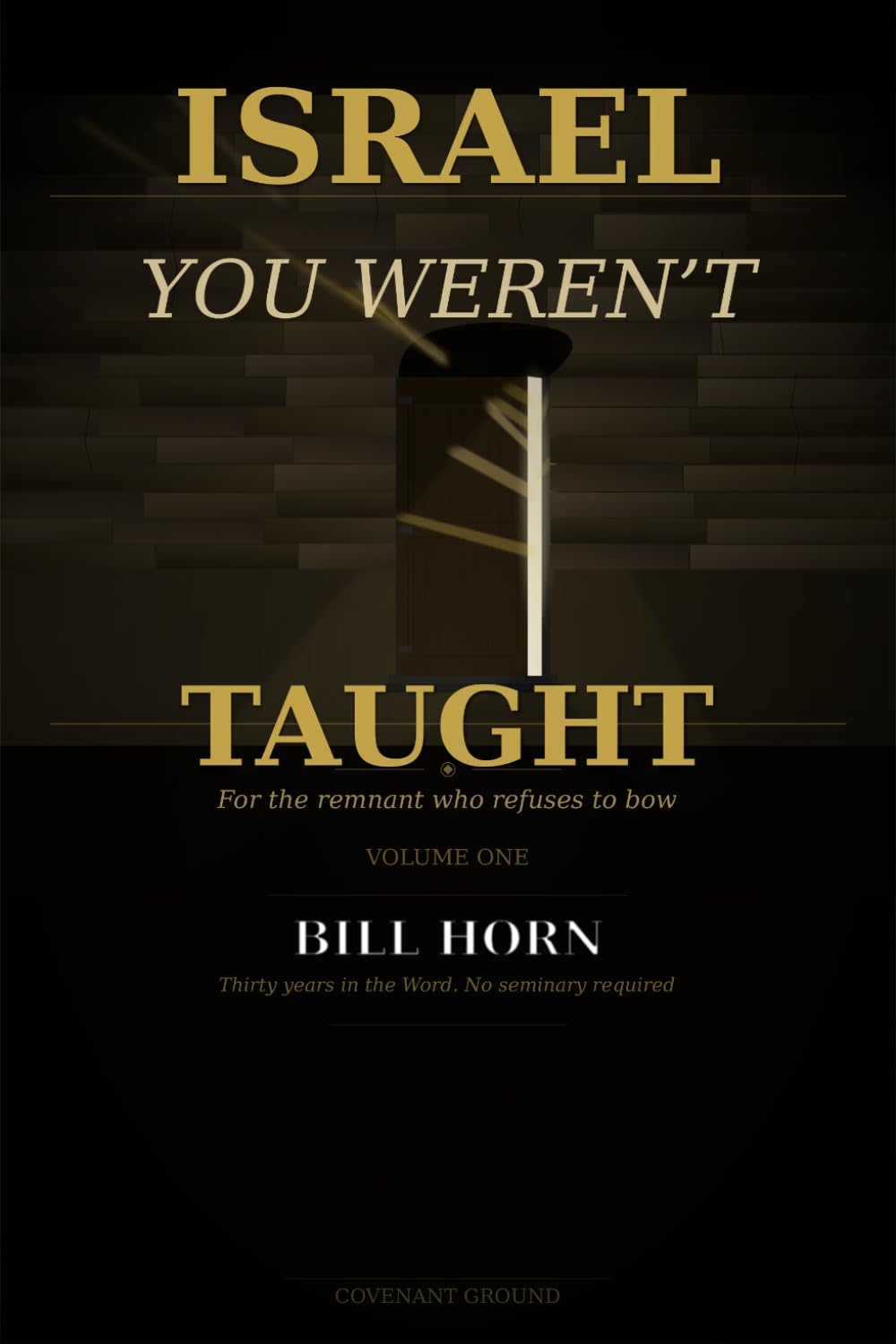 Israel You Weren't Taught: Volume One