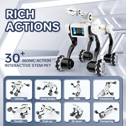 Image of Robot Dog
