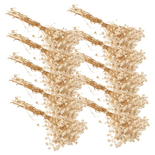 Ramos de flores secas Breath Gypsophila 10 unidades
