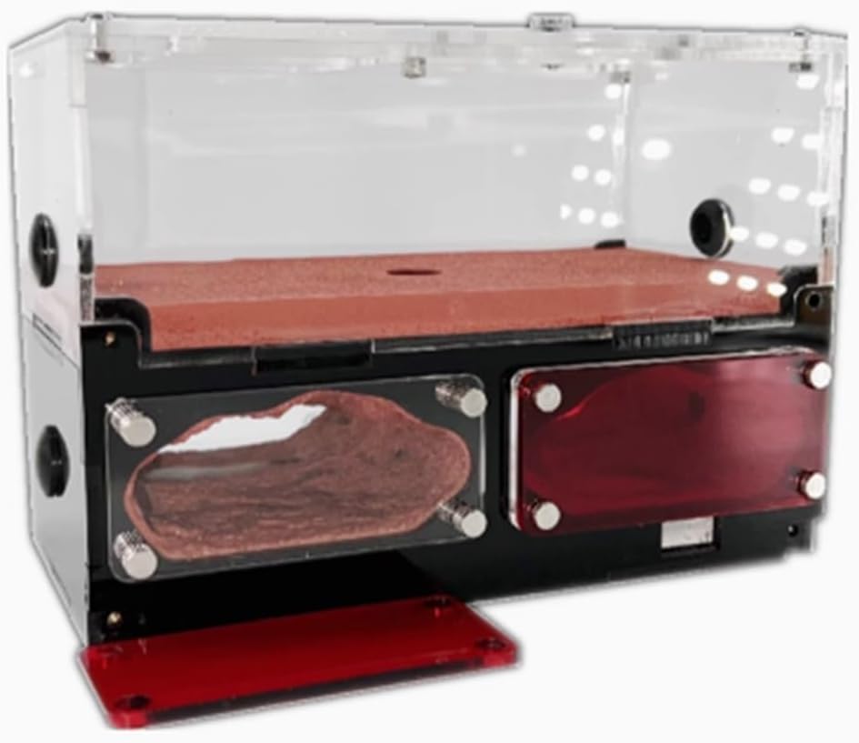 ムシキング 5周年 ティティウスシロカブト 必殺技セット 123