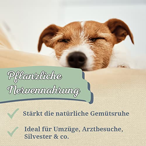 Krauterie Baldrian Hund, Einzelfuttermittel für Hunde (100 g), Baldrianwurzel Pulver in Spitzenqualität
