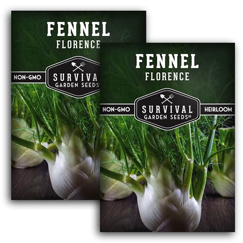 Fennel Seed for Planting - 2 Packets with Instructions to Grow Cool-Weather Florence Fennel (Finnochio) in Your Home Vegetable Garden - Non-GMO Heirloom Variety - Survival Garden Seeds