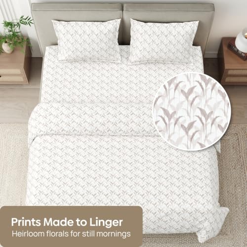 Image of Haus & Kinder Double Bed Bedsheet for Queen Size Bed with 2 Pillow Covers 90 Inch x 100 Inch | Premium Soft & Silky Pure Cotton 300 TC Flat Double Bedsheet | Velvet Canopy Brown