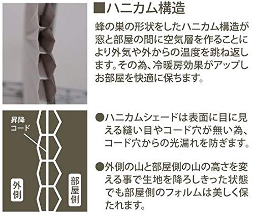 Amazon｜プレミアム ハニカムシェード 彩 一級遮光 90×180cm 遮光