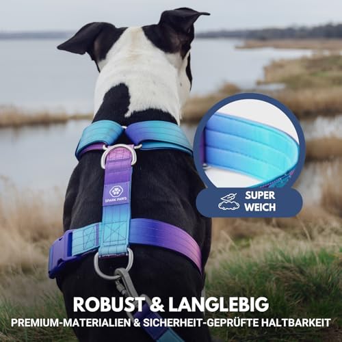 Spark Paws No Pull Hundegeschirr Grosse Hunde, Halterdesign mit Frontclip, Y Geschirr Hund, Robust und Strapazierfähig Harness für Große und Starke Rassen - 90s Retro, L