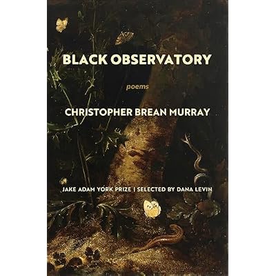 Black Observatory