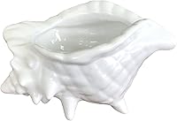 Beitewei White Ceramic Seashell Planter - Handmade Succulent Pot for Modern Home Decor & Housewarming Gift