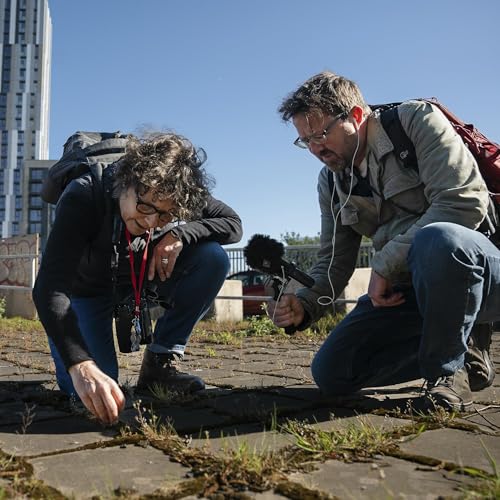 350. A quest to find hidden urban wildlife with Amanda Tuke on the streets of Cardiff