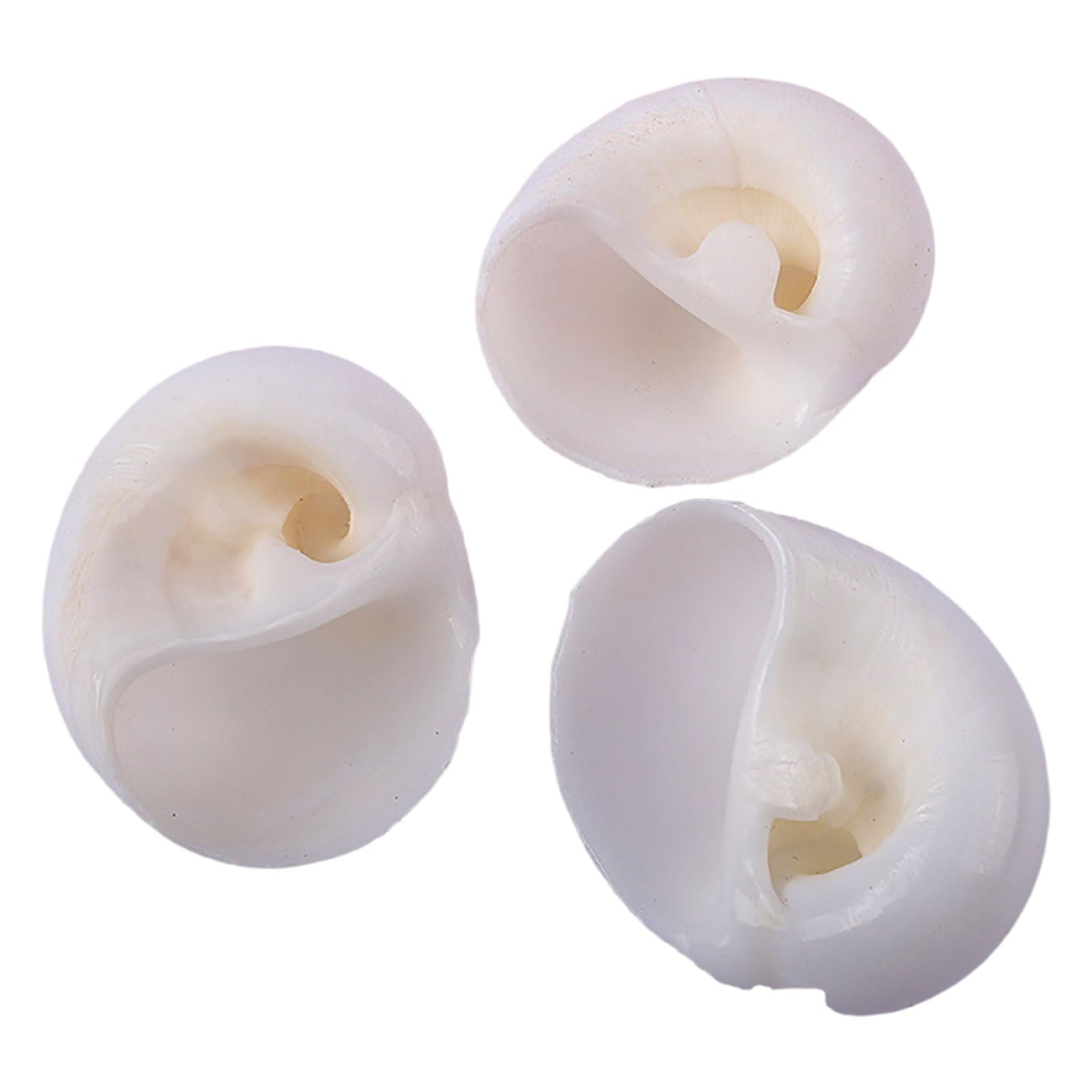 SDJJSAO Shell, Hermit Crab Replacement Special Shell Natural Conch for DIY Fish Tank Aquarium Decoration(Wit,Medium)