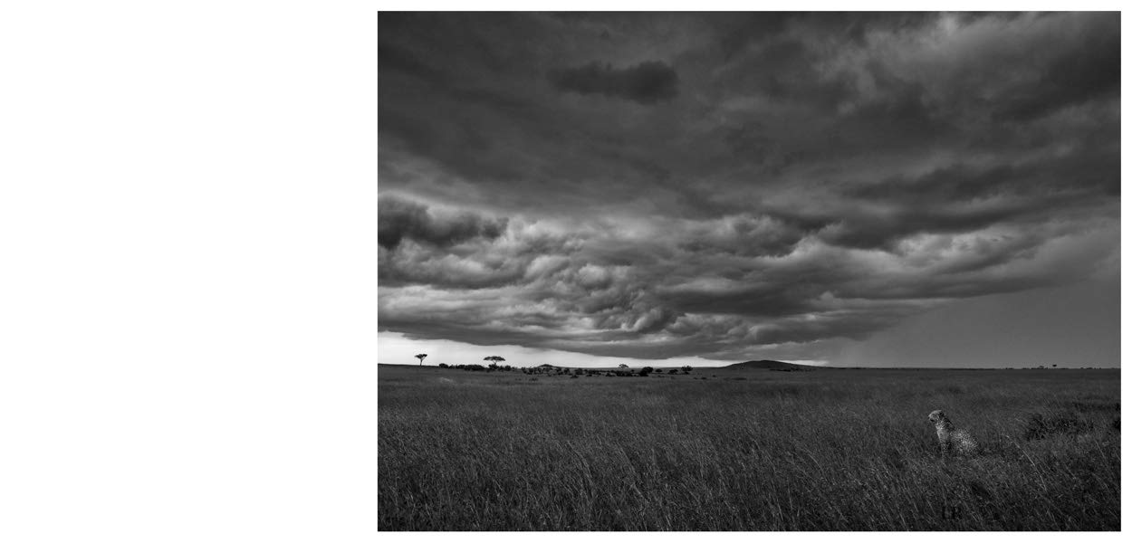 Nor dread nor hope attend: Photographs From The Plains of Africa