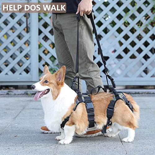 Coodeo Dog Lift Harness, Full Body Support & Recovery Sling, Pet Rear Leg Support Rehabilitation Lifts Vest, Dog Carrier… - Image 3