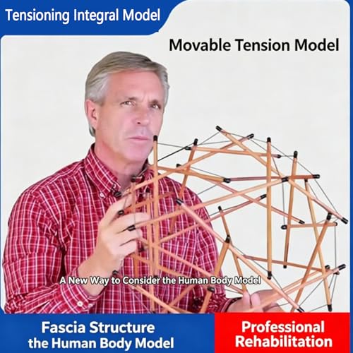 Modelo pélvico espinal integral de 24 cm para aprendizaje práctico 4
