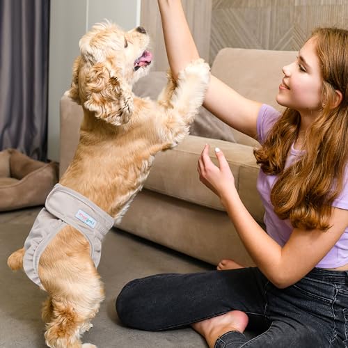 Image of Langsprit Washable Female Dog Diapers (3 Pack) - No Leak Reusable Diapers for Doggy Female in Period - Highly Absorbent Dog Heat Panties with Adjustable Snaps Black M Size