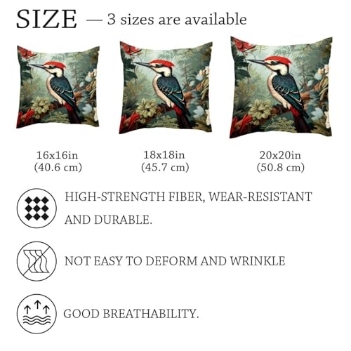 Housse de coussin velours lavable 50x50 cm avec fermeture éclair invisible