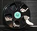 SunCoast Sugar Gliders Exercise Wheel - 11in Wodent Wheel | Small Animal Exercise Wheel with Nail Trimmer Insert for Sugar Gliders, Mice, Rats, Gerbils and Other Small Animals