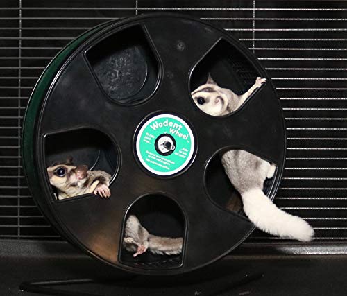 Exercise Wheel - 11in Wodent Wheel | Small Animal Exercise Wheel with Nail Trimmer Insert for Sugar Gliders, Mice, Rats, Gerbils and Other Small Animals