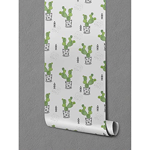 Papier peint meuble rénovation facile Coloray cactus pour masquer défauts