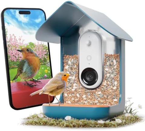 Birdbuddy PRO Non Solar Smart Bird Feeder with Camera - AI Bird Species Identifi...