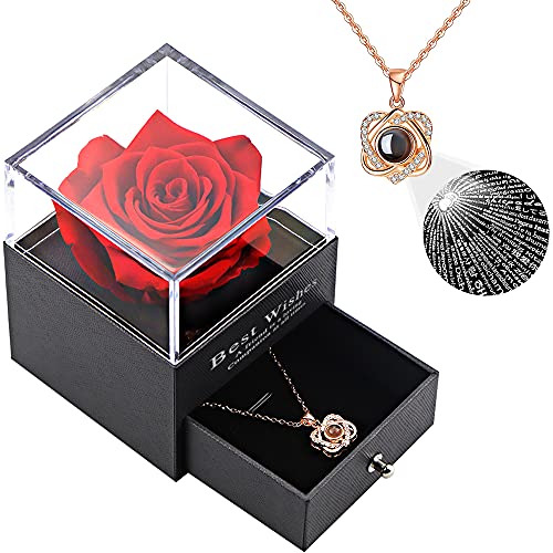 Vanleonet Preserved Real Rose with Heart Necklace, Forever Rose Gifts for Mom Women Girlfriend Wife Her Best Friend  Valentine’s Day Birthday Anniversary Thanksgiving Christmas
