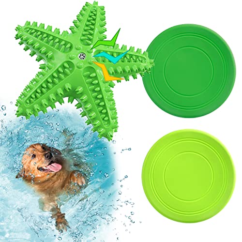 10 Best Pool Floats For Dogs Reviews & Reports in 2023