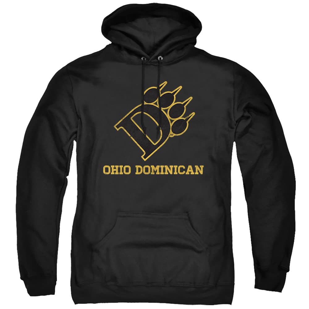 LOGOVISION Official Collegiate Distressed Primary Logo Adult Pullover Hoodie Collection — view 17