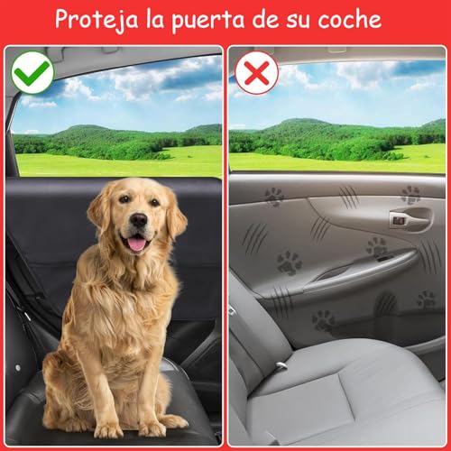 Mascotas, Imagen adicional