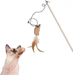 Brinquedo Para Gato Vara Varinha Interativa Rato Vareta Com Elástico Ratinho Com Penas Chocalho Sino Cordinha Esticável Entretenimento Felino