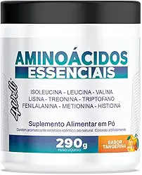 4well, Aminoácidos Essenciais 4well 290g Sabor:Tangerina