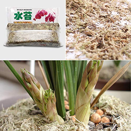 12 L Sfagno Idratante Torba Nutrizione