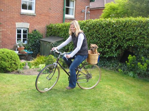 Duckling Days (Tiger Days) (Book 4) - Image 3